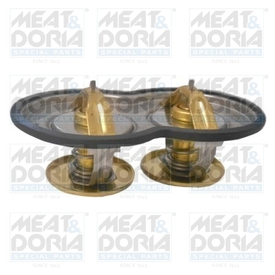 Thermostat, coolant